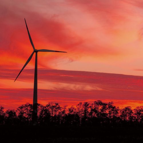 wind-turbines-in-the-open-space-or-in-the-field-a-2025-02-22-01-13-10-utc wind-turbines-in-the-open-space-or-in-the-field-a-2025-02-22-01-13-10-utc